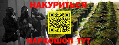 кокс Лесосибирск