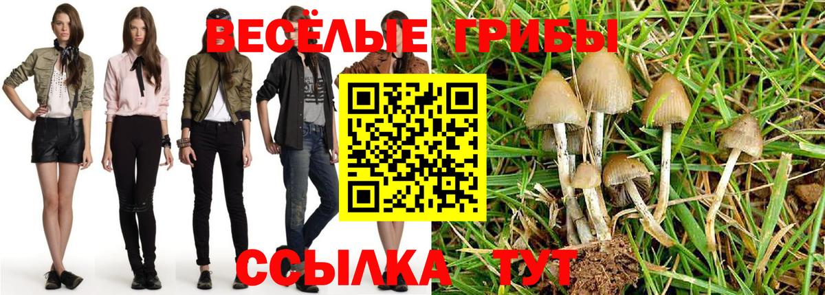 Усинск  наркота  Вход с VPN  Галлюциногенные грибы GOLDEN TEACHER  Псилоцибиновые грибы MAGIC MUSHROOMS 