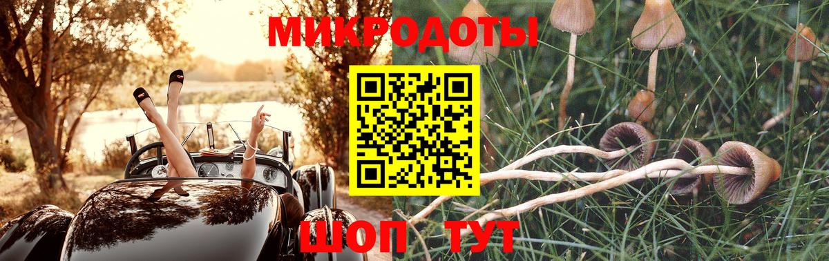Псилоцибиновые грибы Psilocybe Усинск